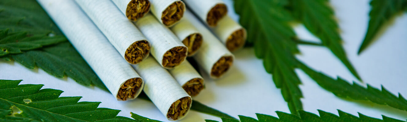 cbd-cigarettes image