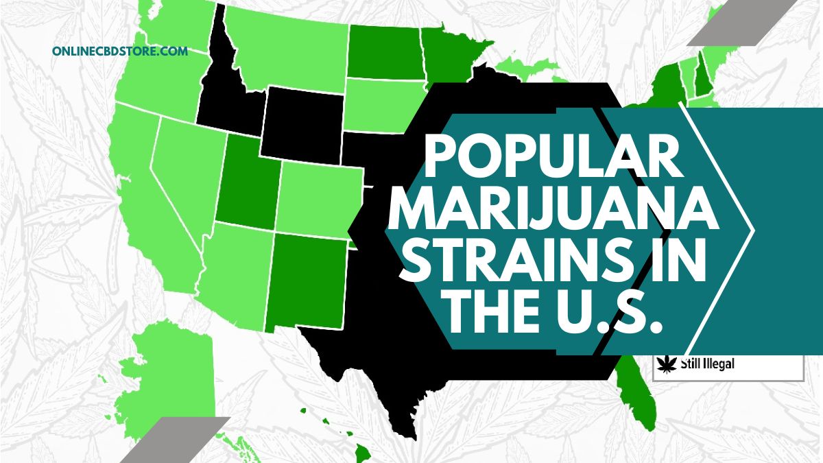 Marijuana Strains in the U.S.
